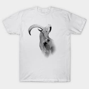 Barbary sheep T-Shirt
